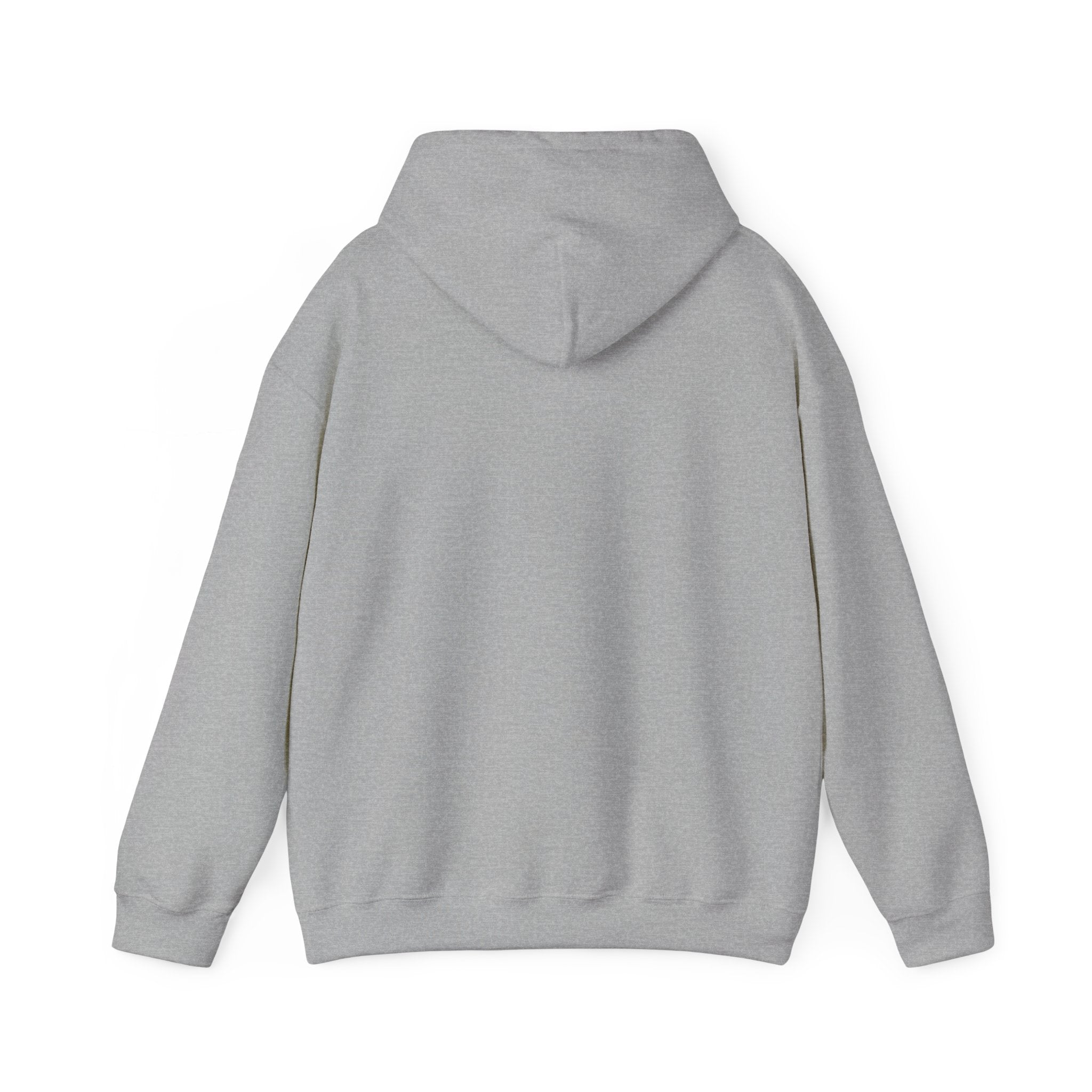 Hooded Sweatshirt Cute Halloween Witch with Cat