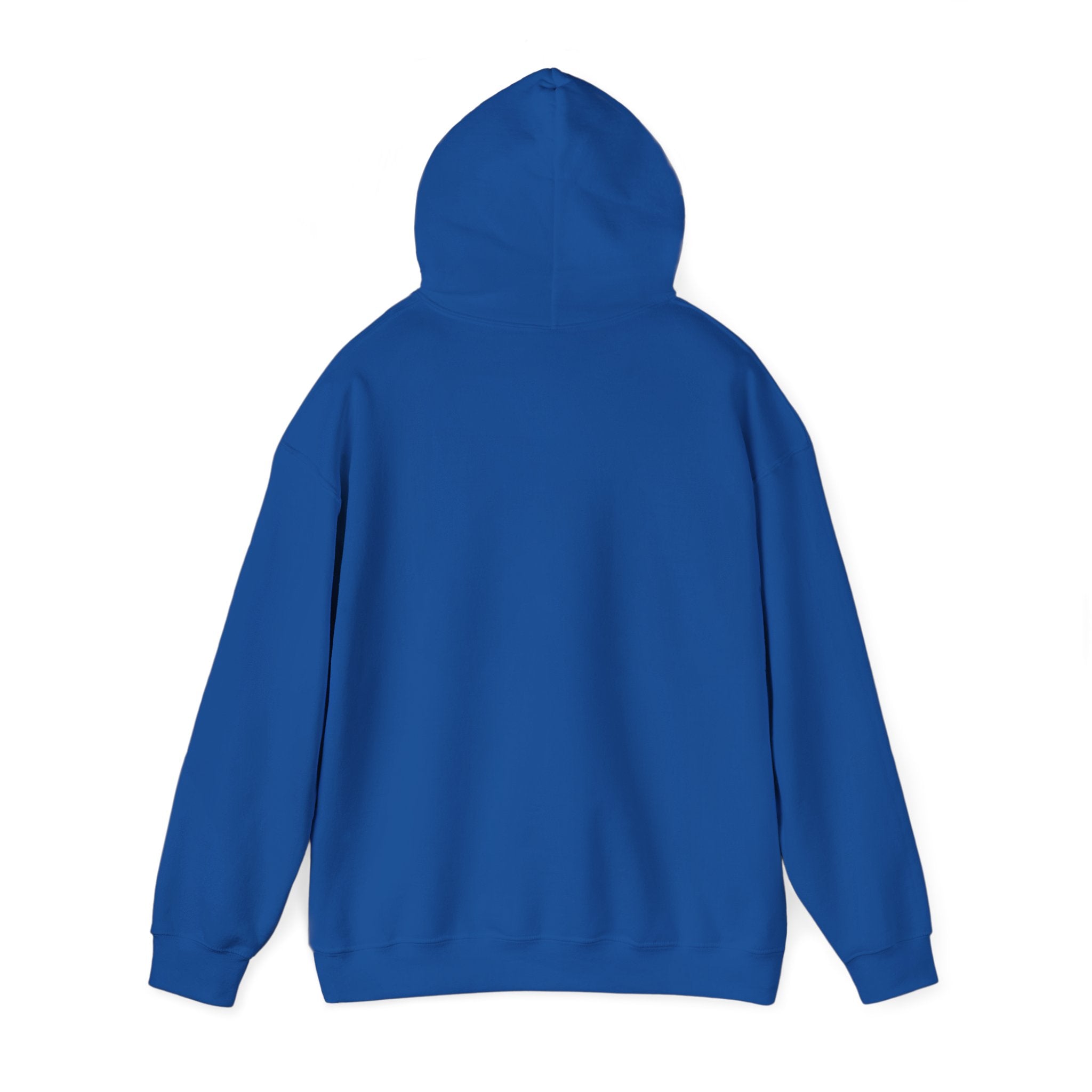 Hooded Sweatshirt Cute Halloween Witch with Cat