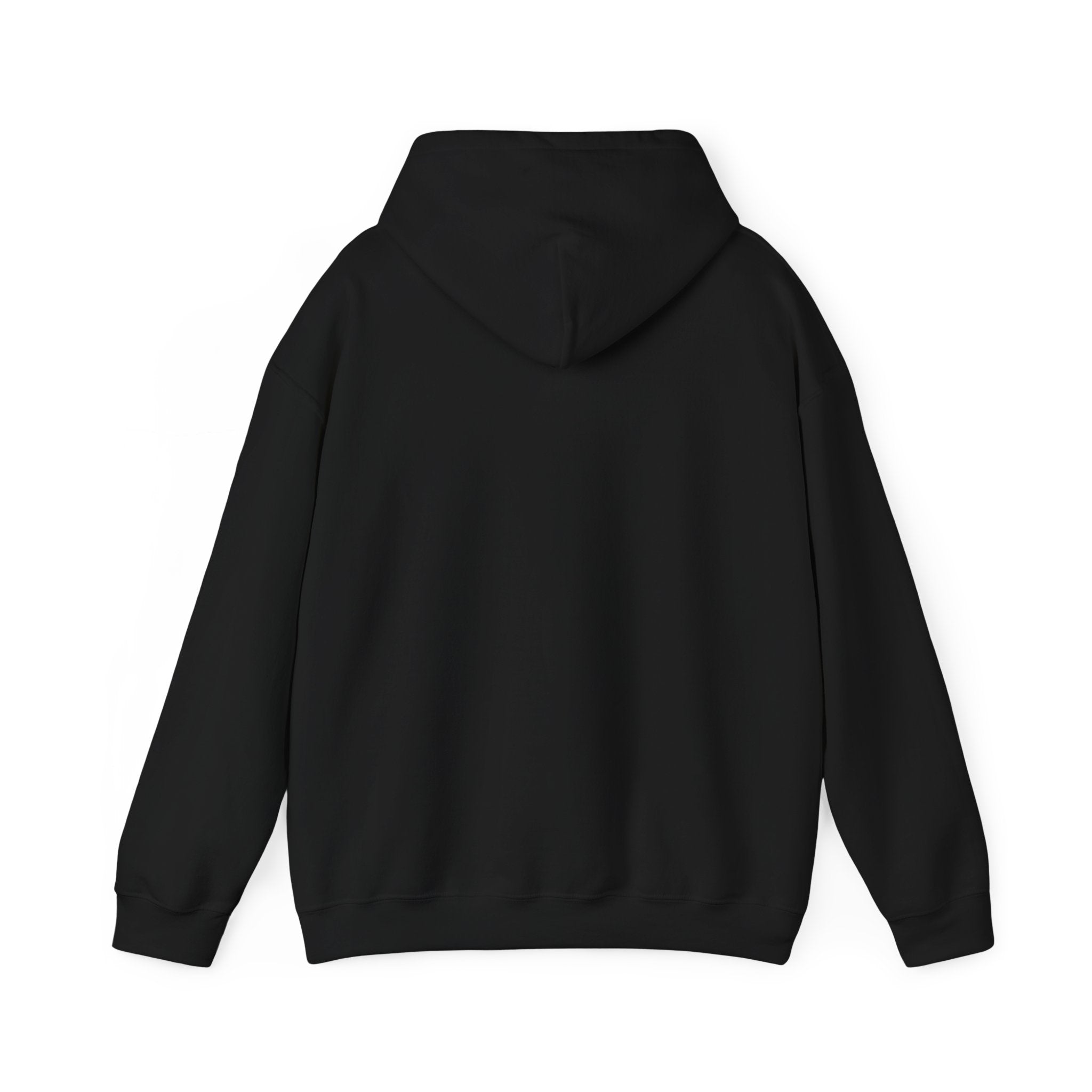 Hooded Sweatshirt Cute Halloween Witch with Cat