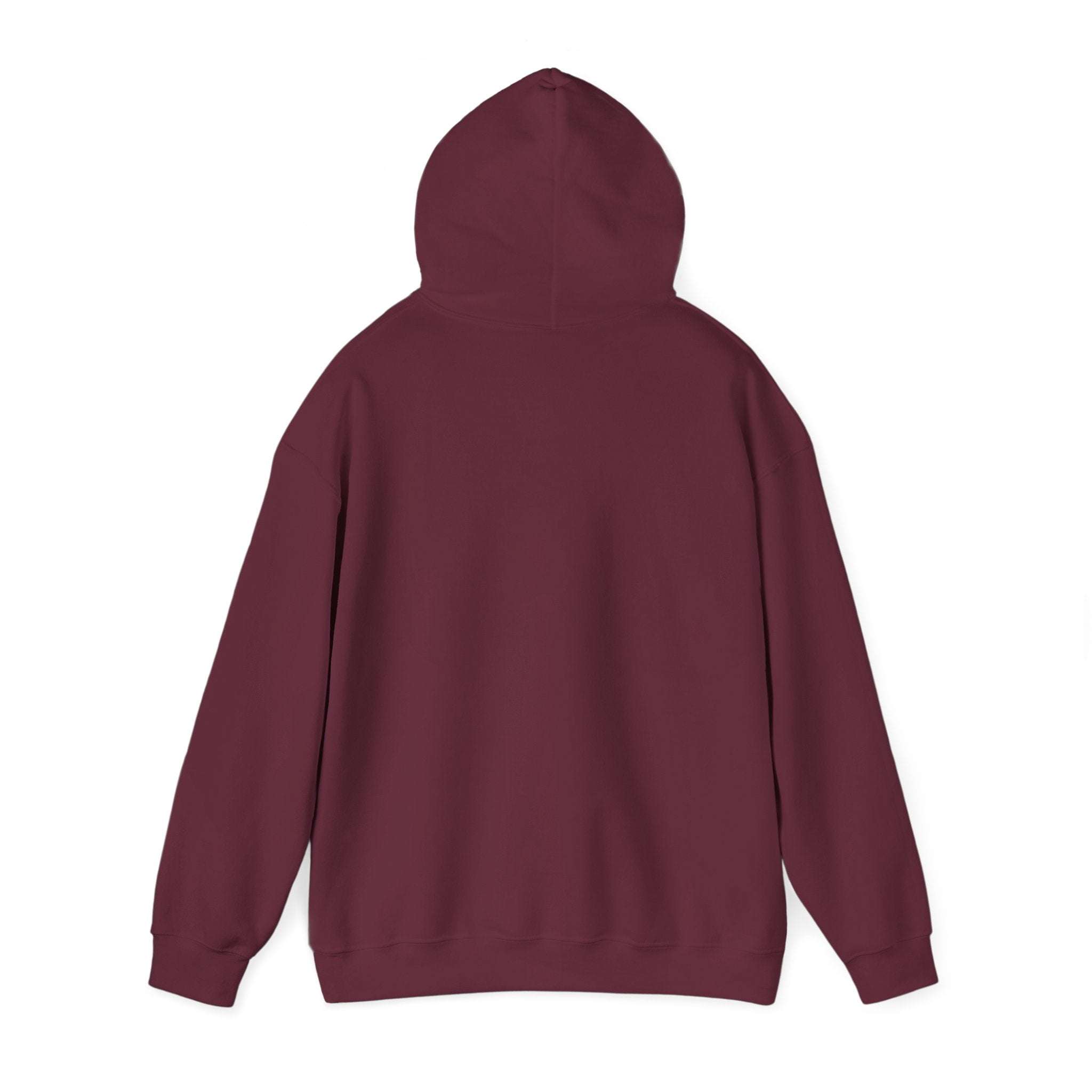 Hooded Sweatshirt Cute Halloween Witch with Cat