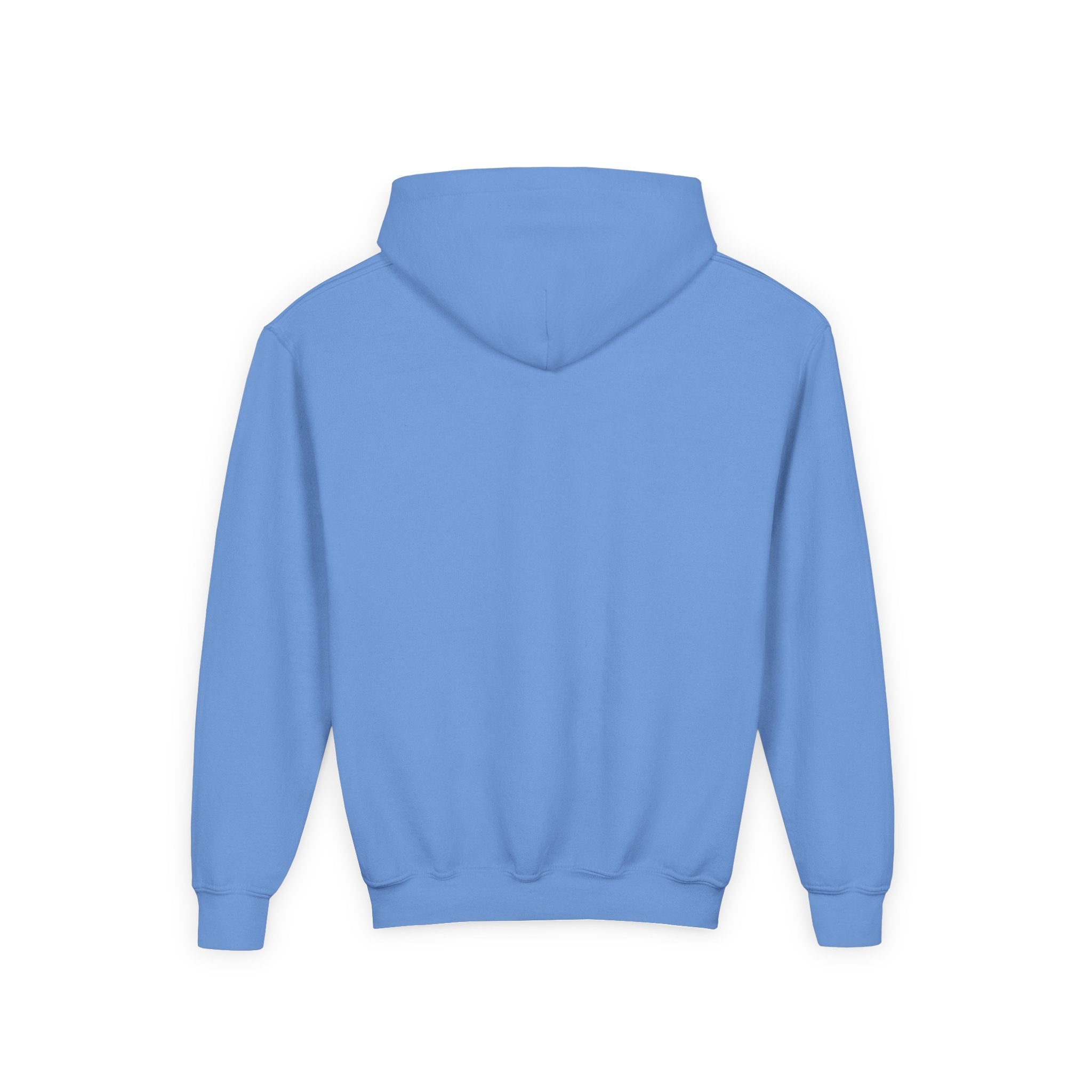 Animal Lovers Hoodie - Cute Puppies and Kittens Gift for Birthdays and Holidays