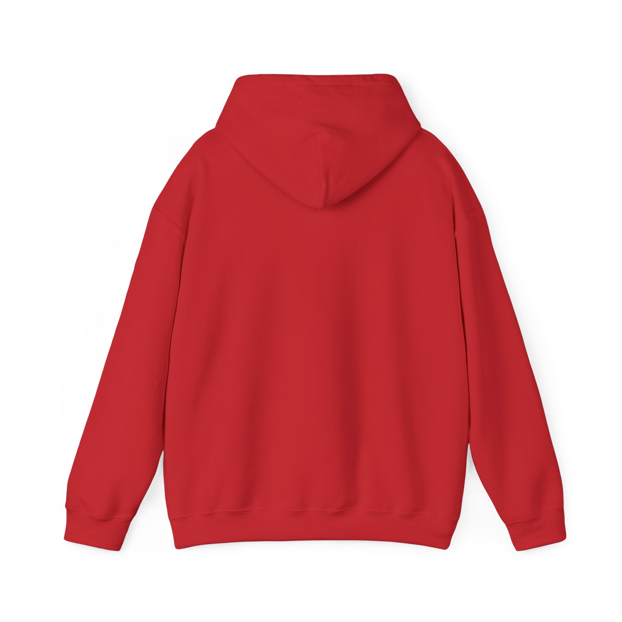 Hooded Sweatshirt Cute Halloween Witch with Cat