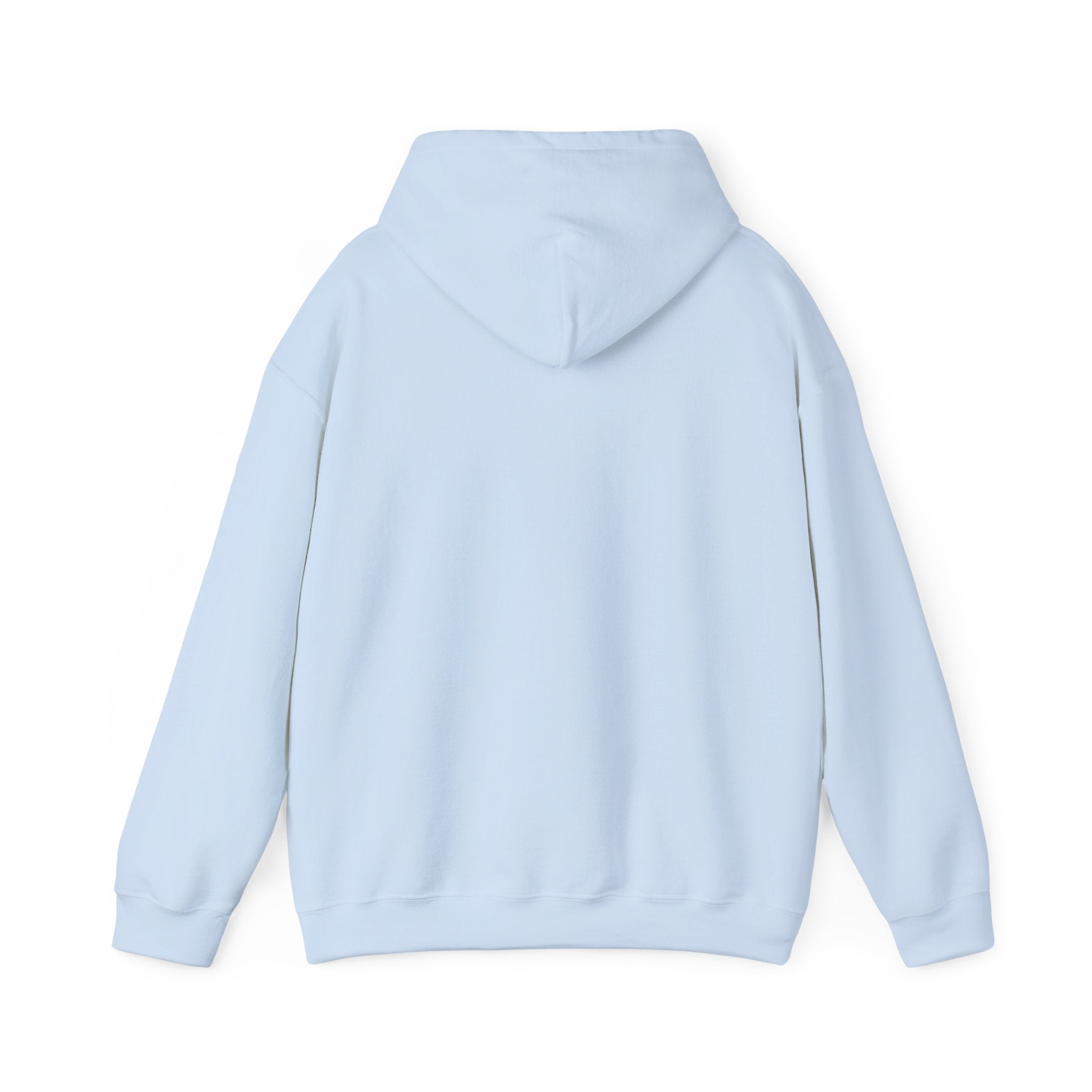 Hooded Sweatshirt Cute Halloween Witch with Cat