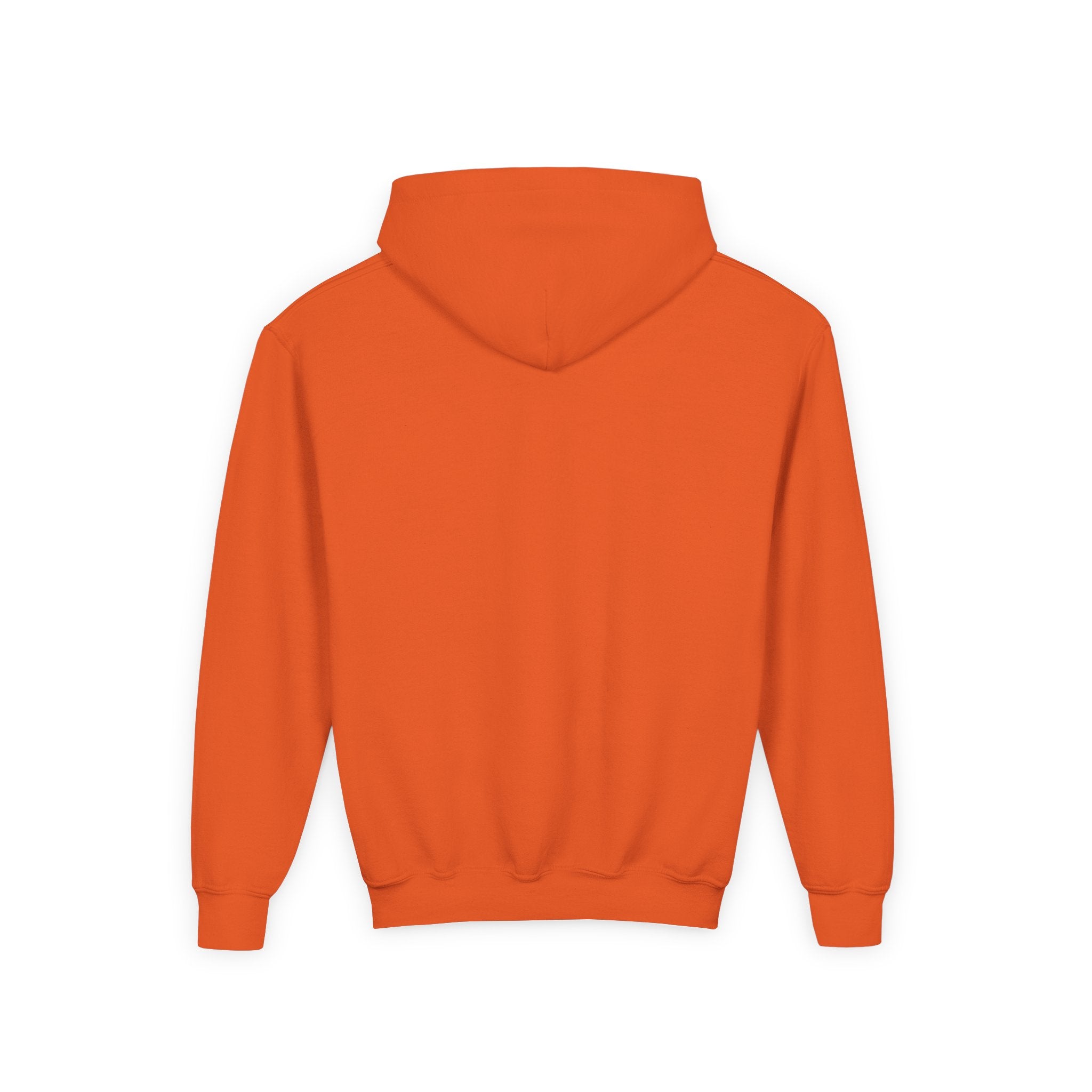 Animal Lovers Hoodie - Cute Puppies and Kittens Gift for Birthdays and Holidays