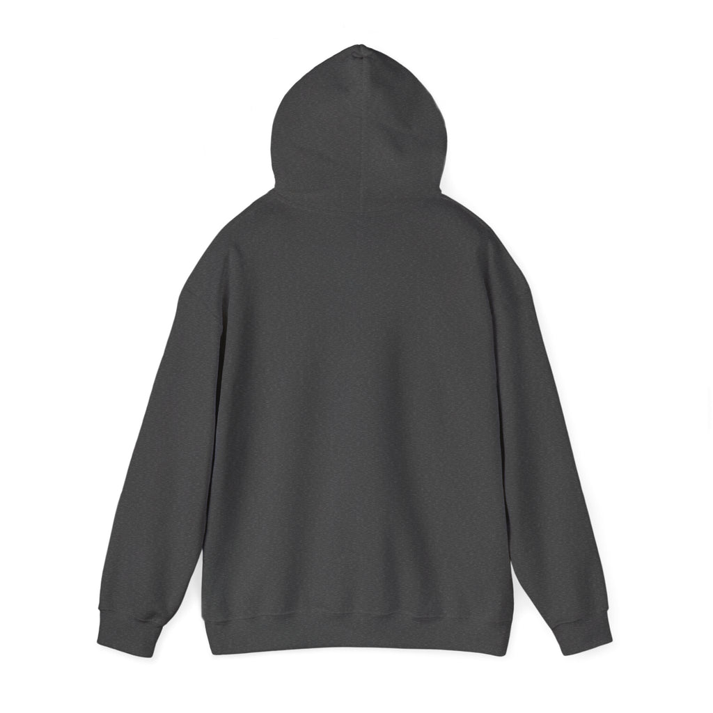 Hooded Sweatshirt Cute Halloween Witch with Cat