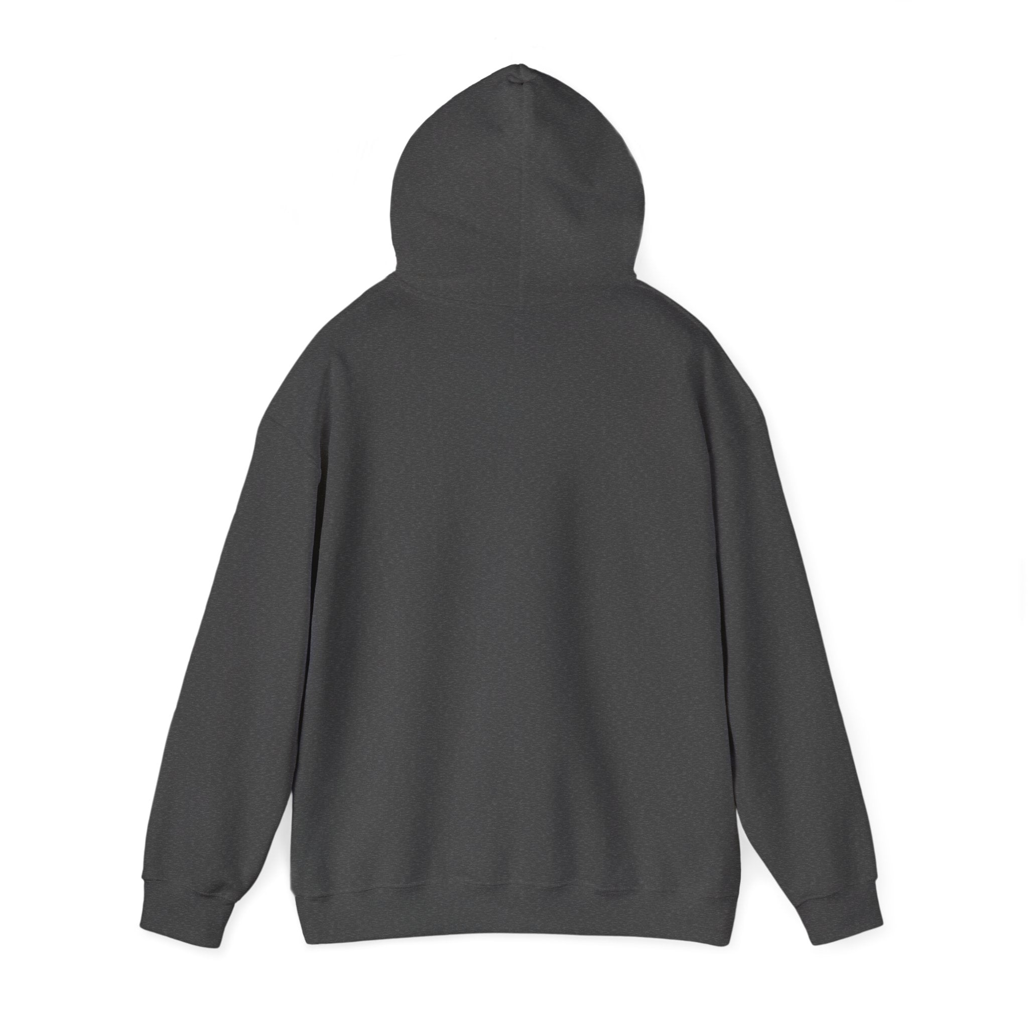 Hooded Sweatshirt Cute Halloween Witch with Cat