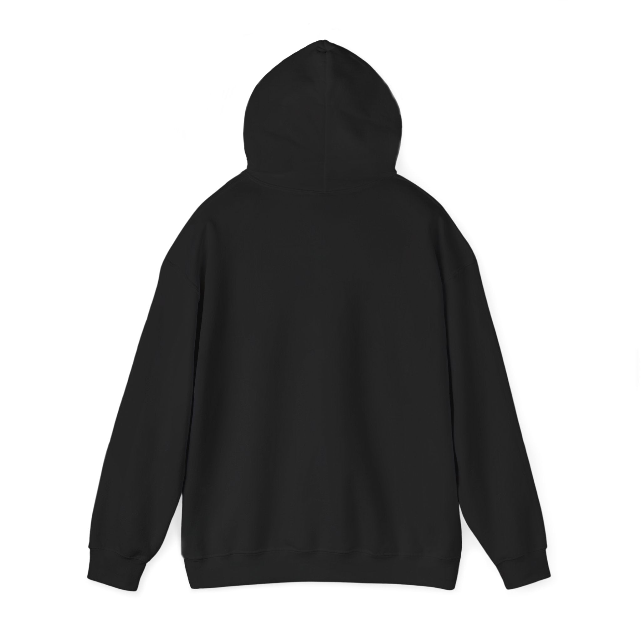 Hooded Sweatshirt Cute Halloween Witch with Cat