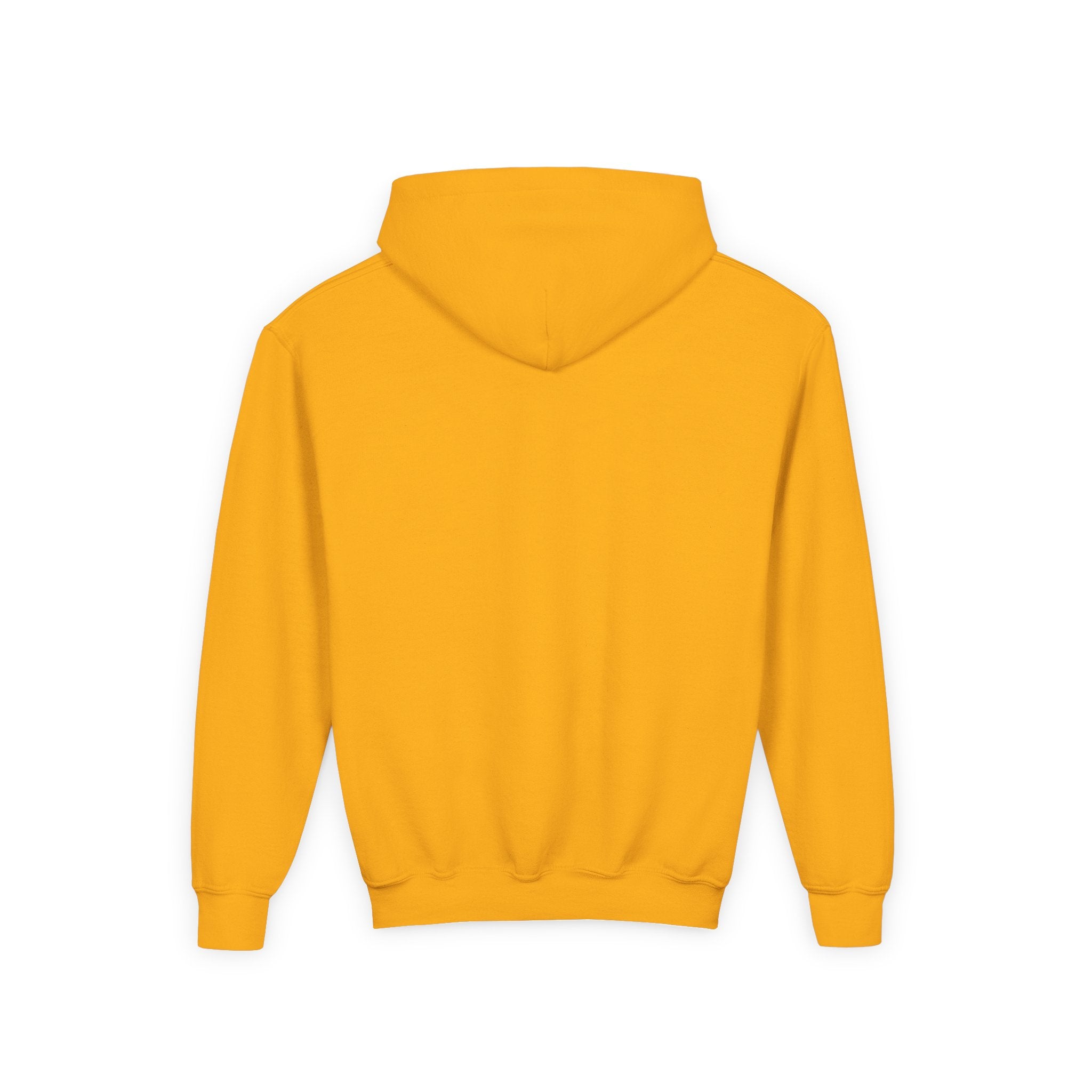 Animal Lovers Hoodie - Cute Puppies and Kittens Gift for Birthdays and Holidays